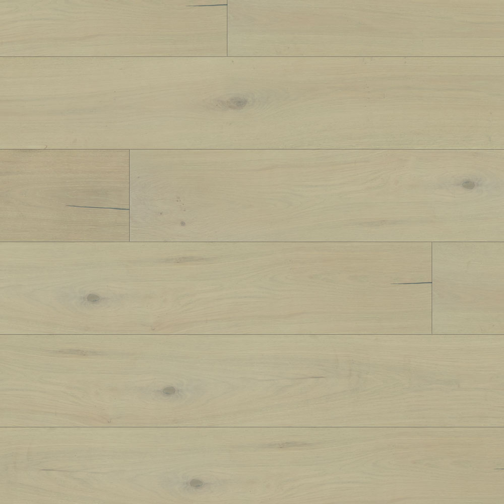 Beaulieu Cohen #1861 Engineered Hardwood from the Maestro collection