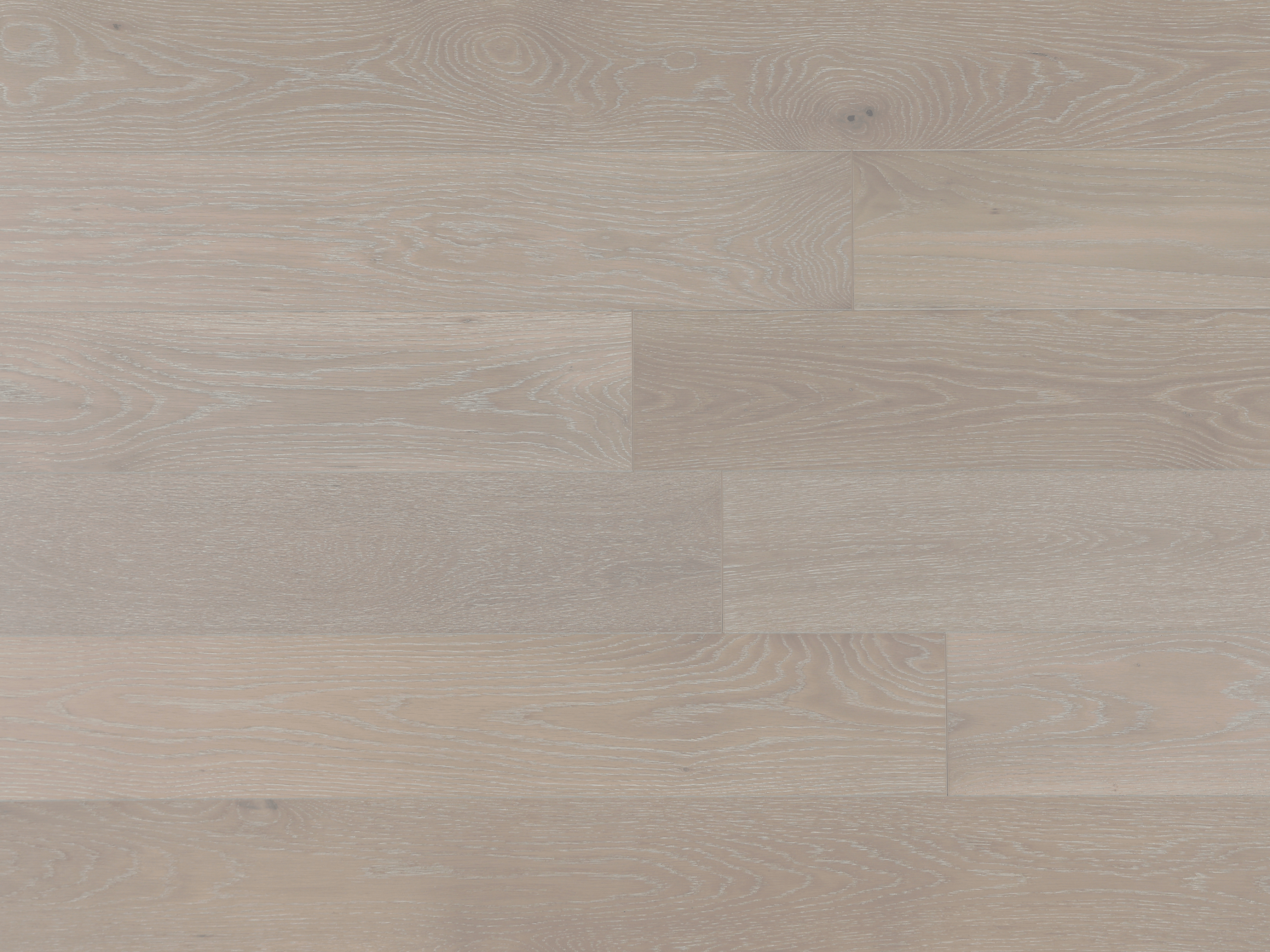 American Oak 7 Collection – Ivory