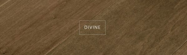 Divine