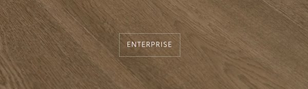 Enterprise